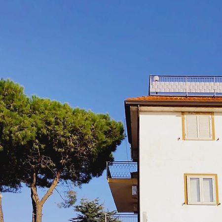 Domus Cedri Apartment Santa Maria Del Cedro Exteriér fotografie
