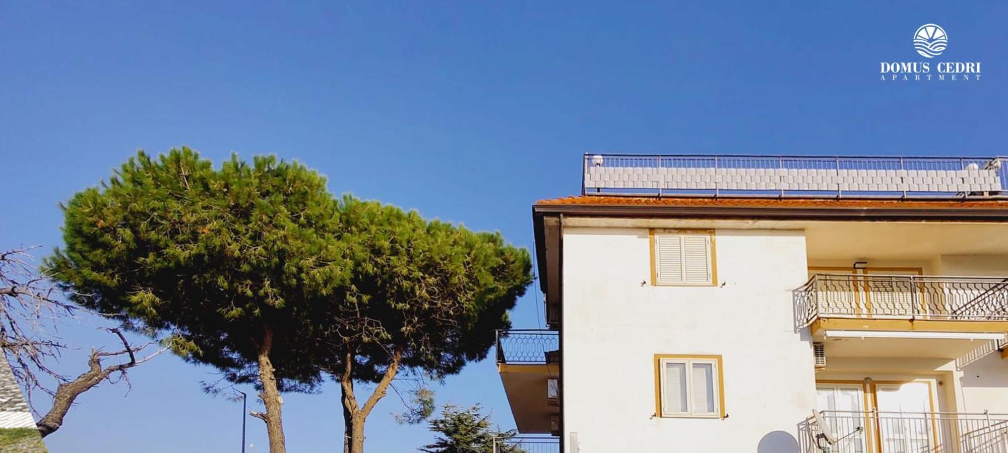 Domus Cedri Apartment Santa Maria Del Cedro Exteriér fotografie