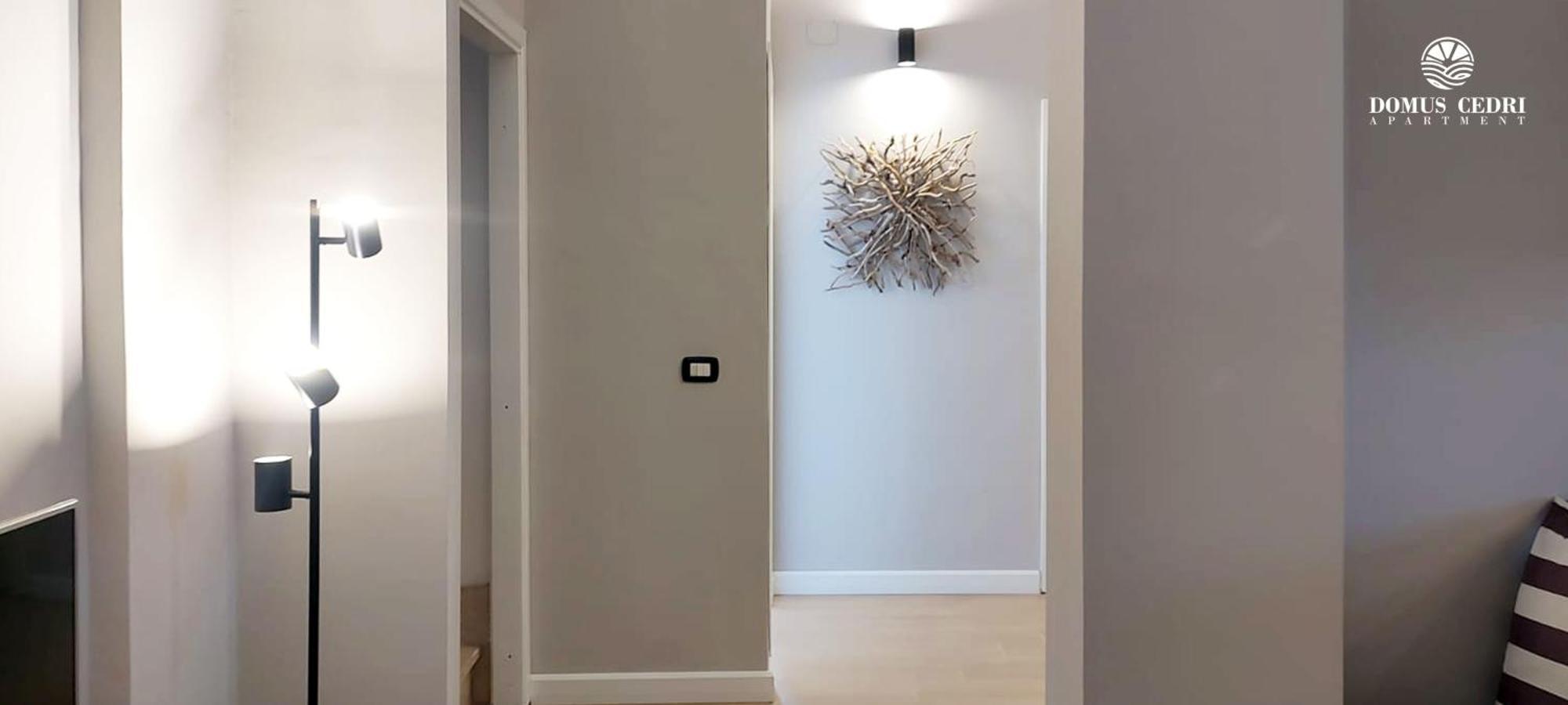 Domus Cedri Apartment Santa Maria Del Cedro Exteriér fotografie